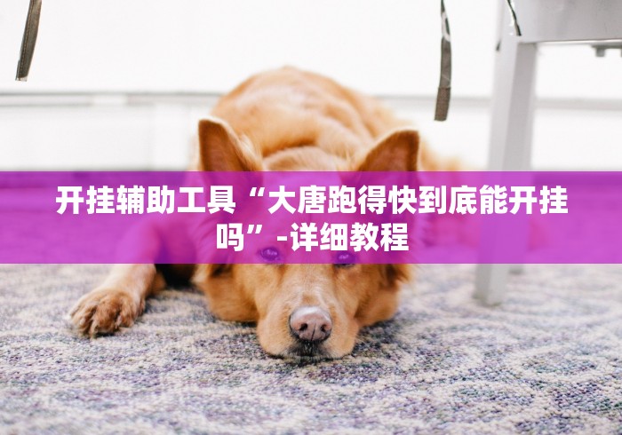 开挂辅助工具“大唐跑得快到底能开挂吗”-详细教程