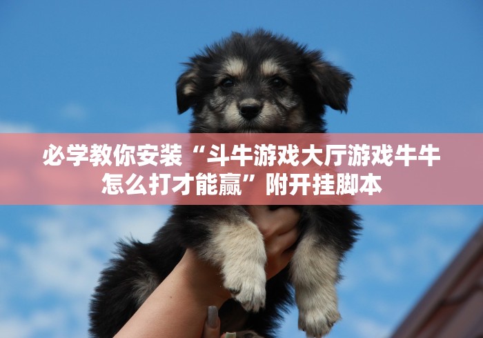 必学教你安装“斗牛游戏大厅游戏牛牛怎么打才能赢”附开挂脚本