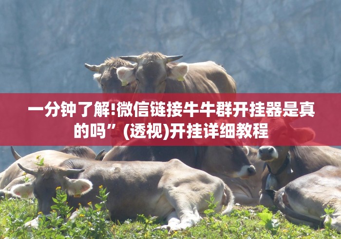 一分钟了解!微信链接牛牛群开挂器是真的吗”(透视)开挂详细教程