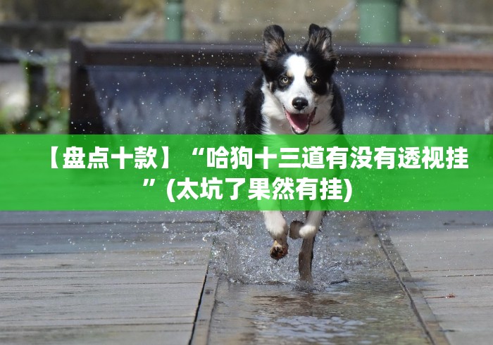 【盘点十款】“哈狗十三道有没有透视挂”(太坑了果然有挂)