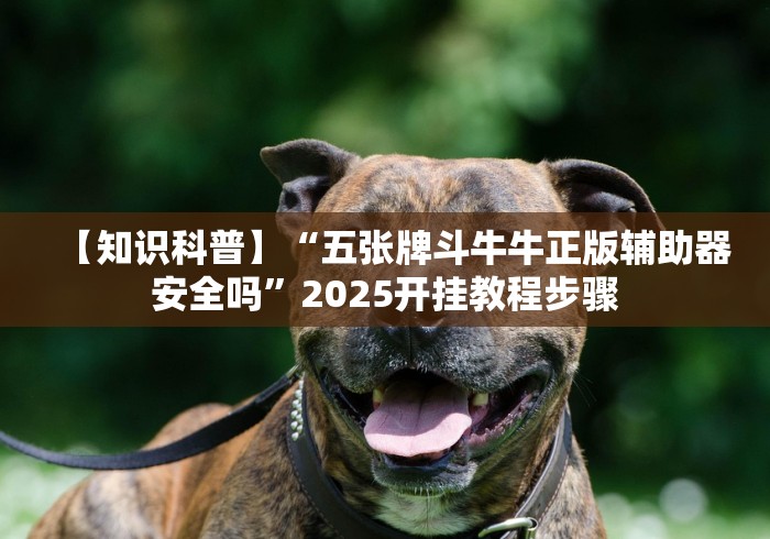 【知识科普】“五张牌斗牛牛正版辅助器安全吗”2025开挂教程步骤