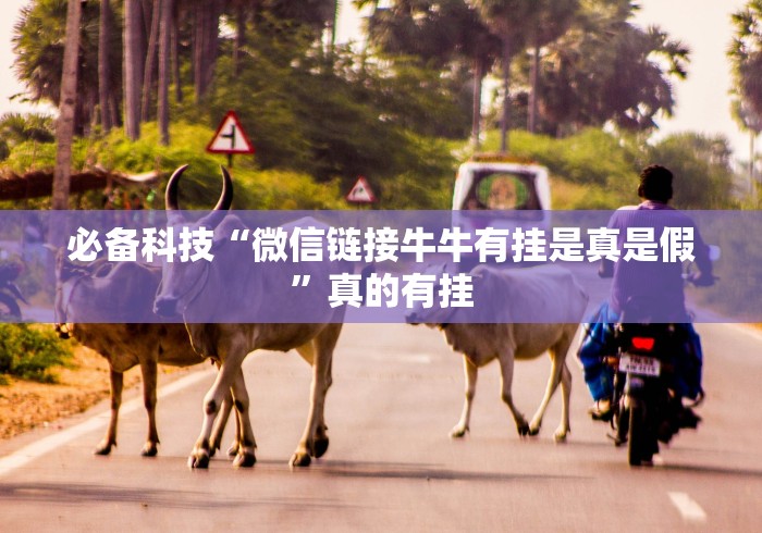 必备科技“微信链接牛牛有挂是真是假”真的有挂