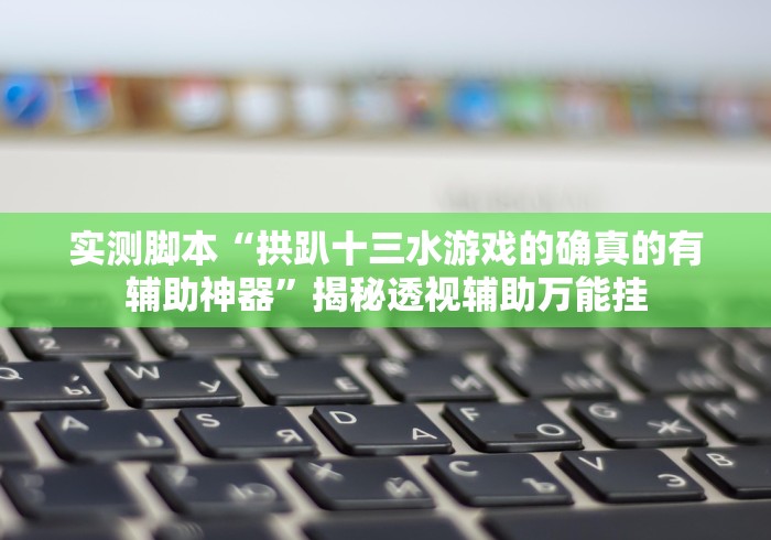 实测脚本“拱趴十三水游戏的确真的有辅助神器”揭秘透视辅助万能挂