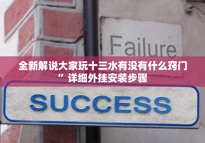 全新解说大家玩十三水有没有什么窍门”详细外挂安装步骤